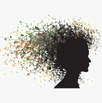 藍(lán)鯨號(hào)